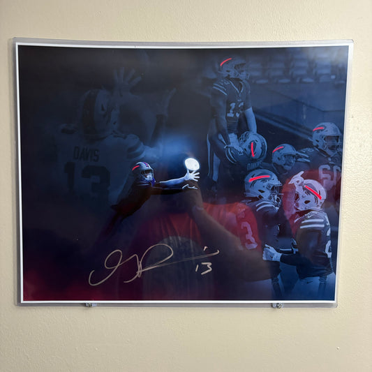 Gabe Davis Signed Buffalo Bills 16x20 (Collage)